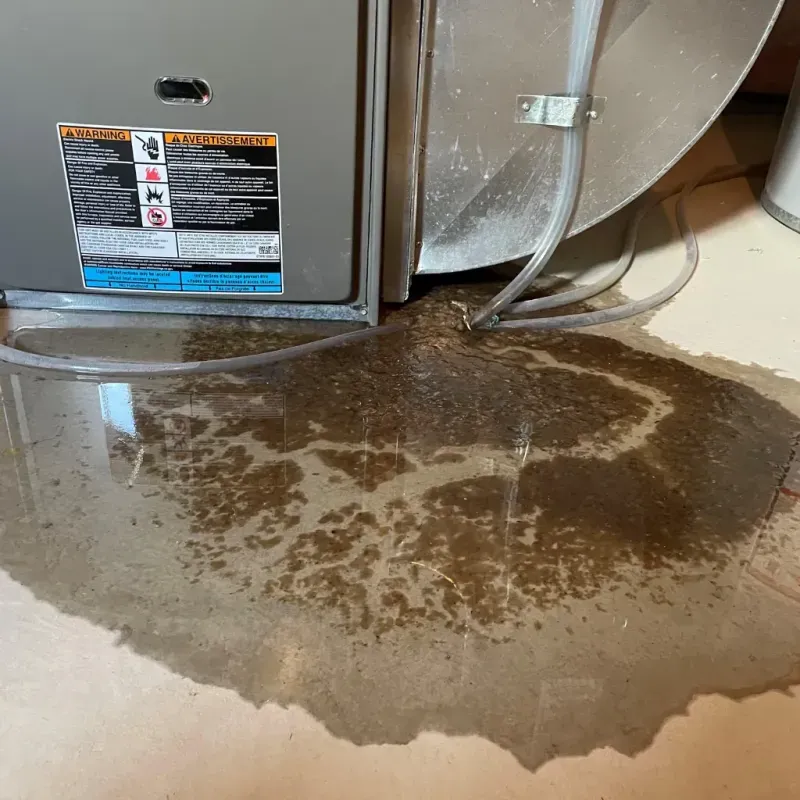 Appliance Leak Cleanup in Mila Doce, TX